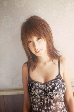 孔雀归来又逢君电视剧免费观看