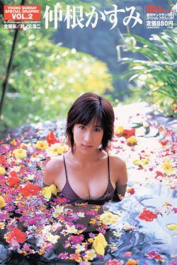 动物性本能